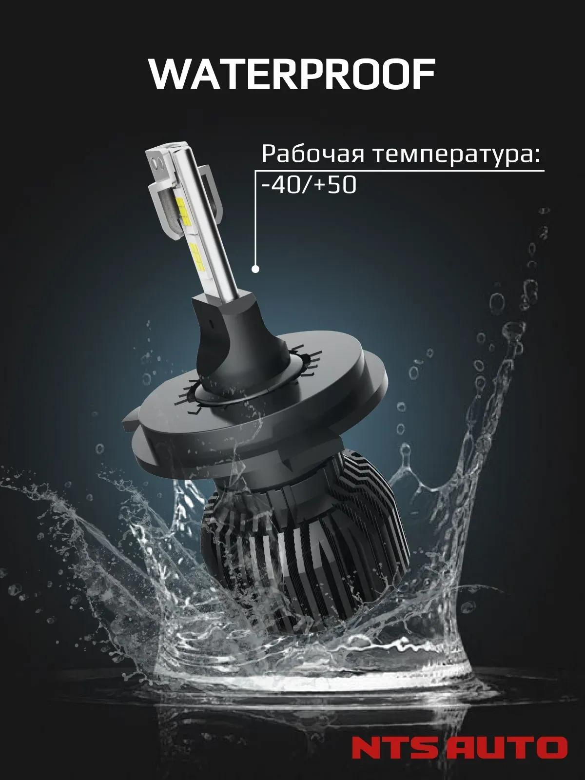 Светодиодные лампы C10 4300K H4 CANBUS