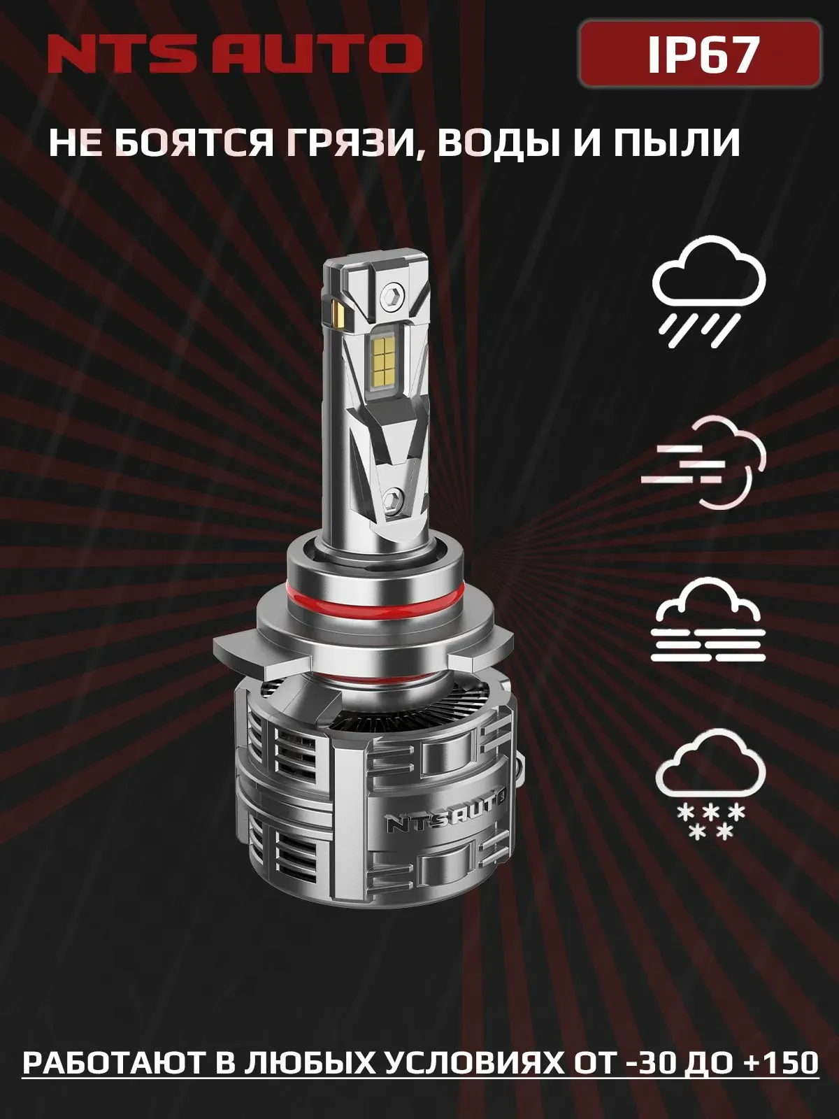 Светодиодные лампы T75 HB3/HB4